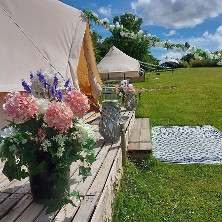 Hopgarden Glamping - Luxury 6M Bell Tent Wadhurst Dış mekan fotoğraf