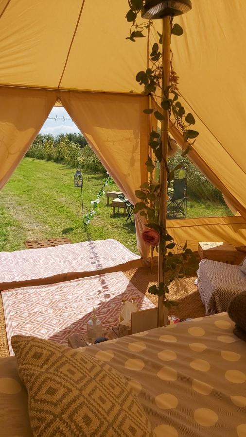 Hopgarden Glamping - Luxury 6M Bell Tent Wadhurst Dış mekan fotoğraf