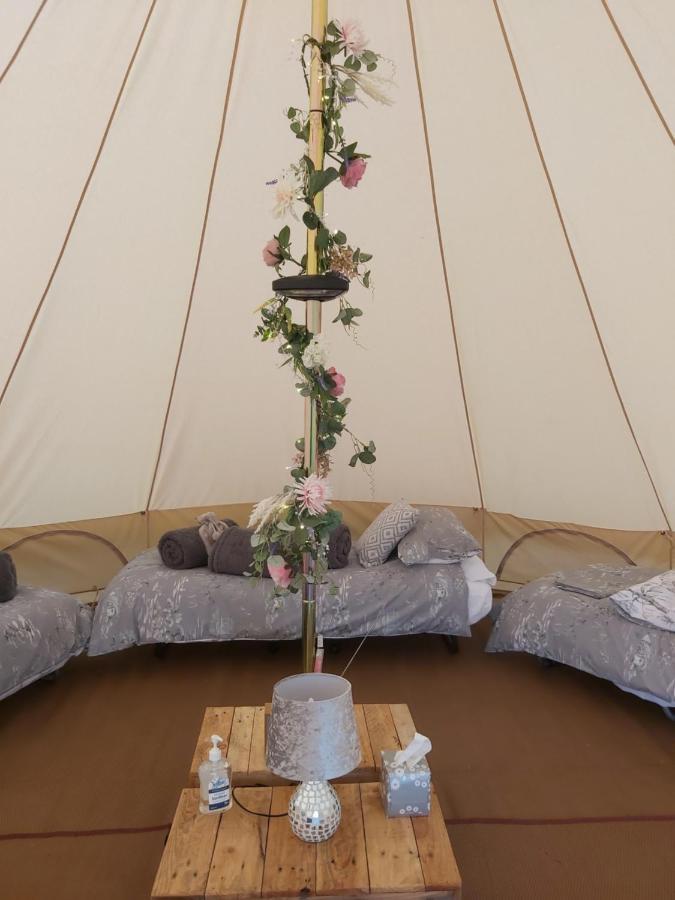 Hopgarden Glamping - Luxury 6M Bell Tent Wadhurst Dış mekan fotoğraf