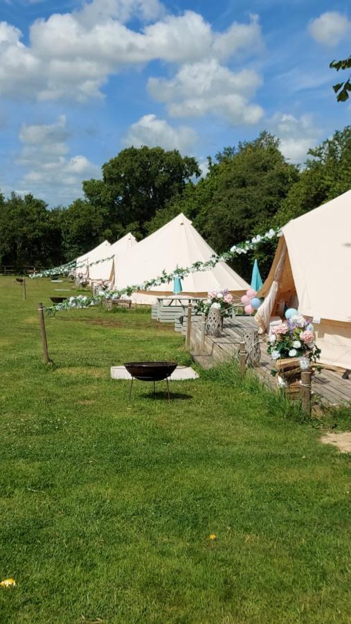 Hopgarden Glamping - Luxury 6M Bell Tent Wadhurst Dış mekan fotoğraf