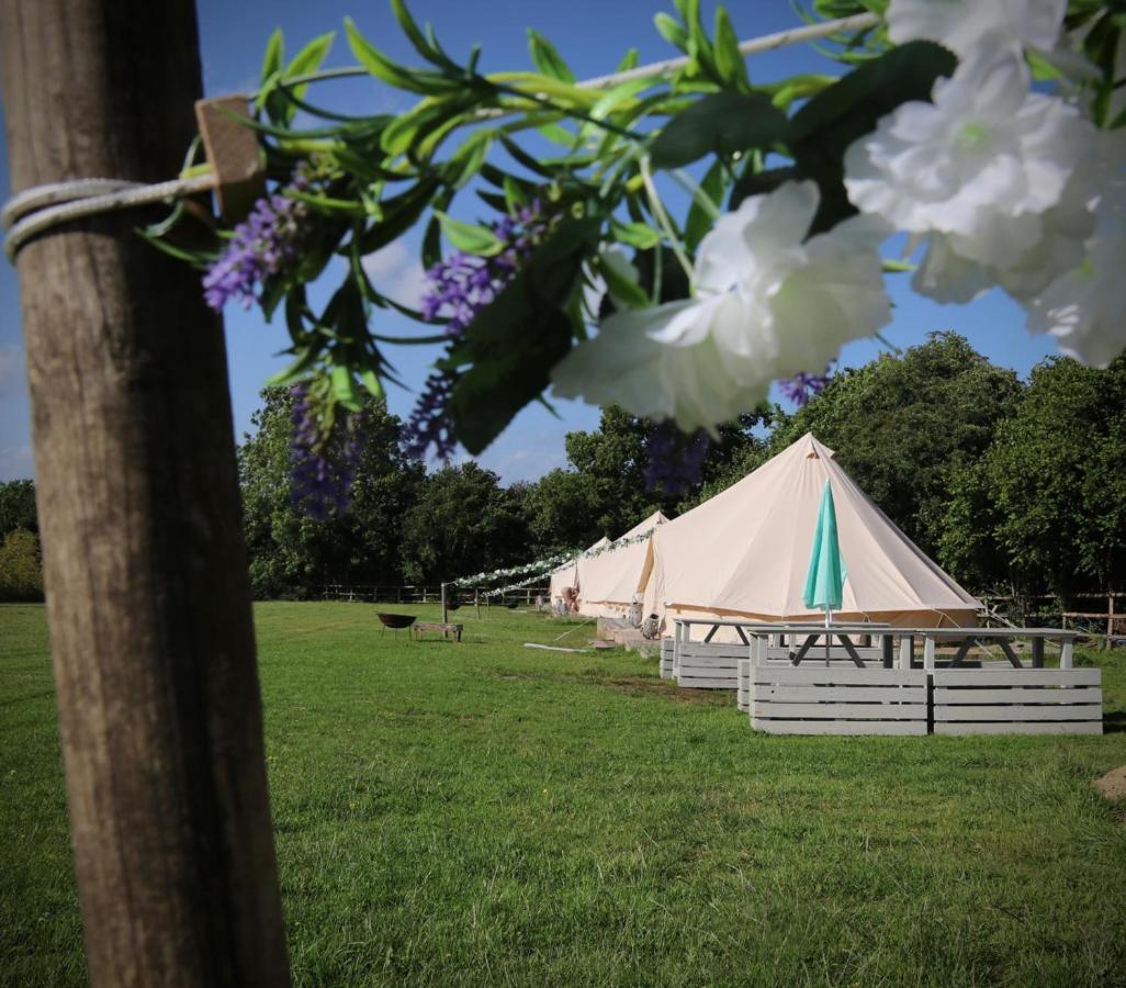 Hopgarden Glamping - Luxury 6M Bell Tent Wadhurst Dış mekan fotoğraf