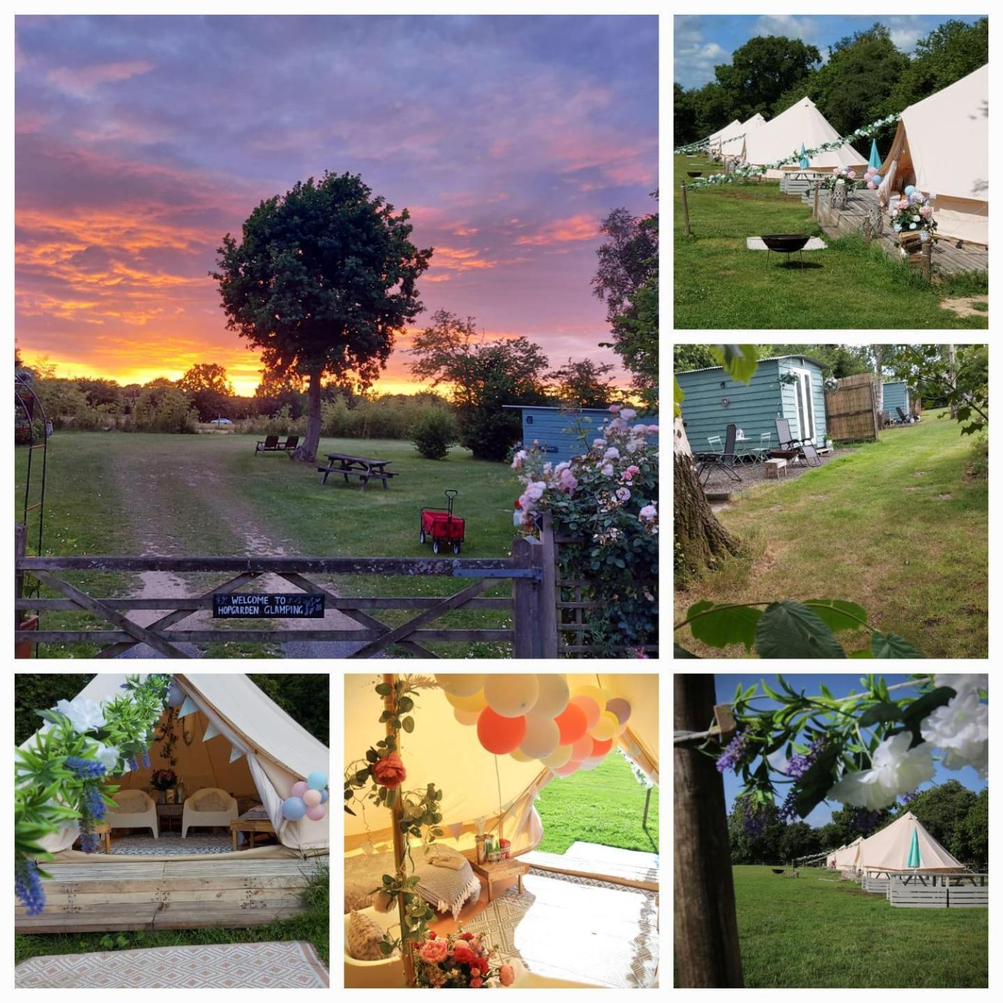 Hopgarden Glamping - Luxury 6M Bell Tent Wadhurst Dış mekan fotoğraf